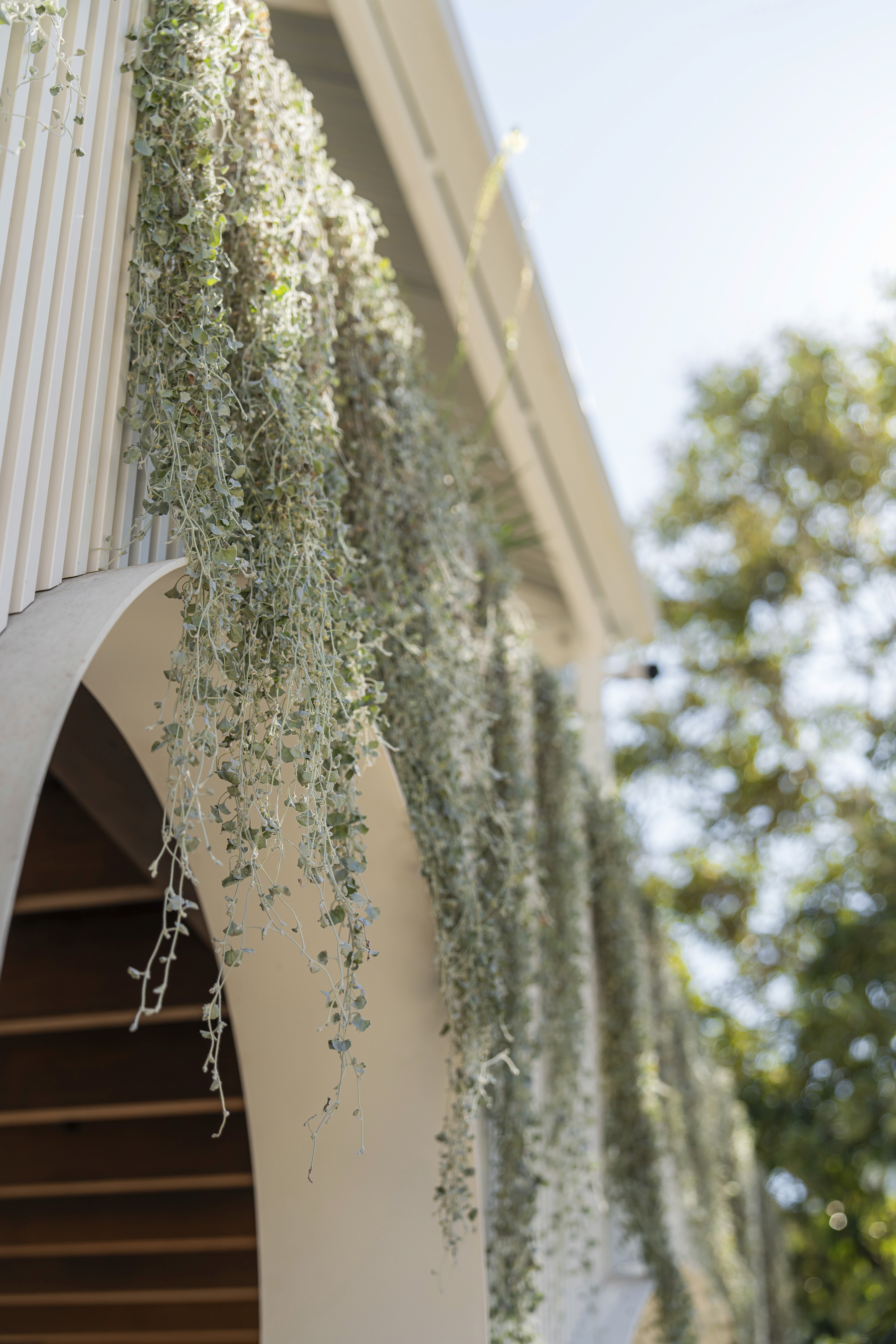 The waiting court outside the studio, a curved concrete bench under hanging plants
