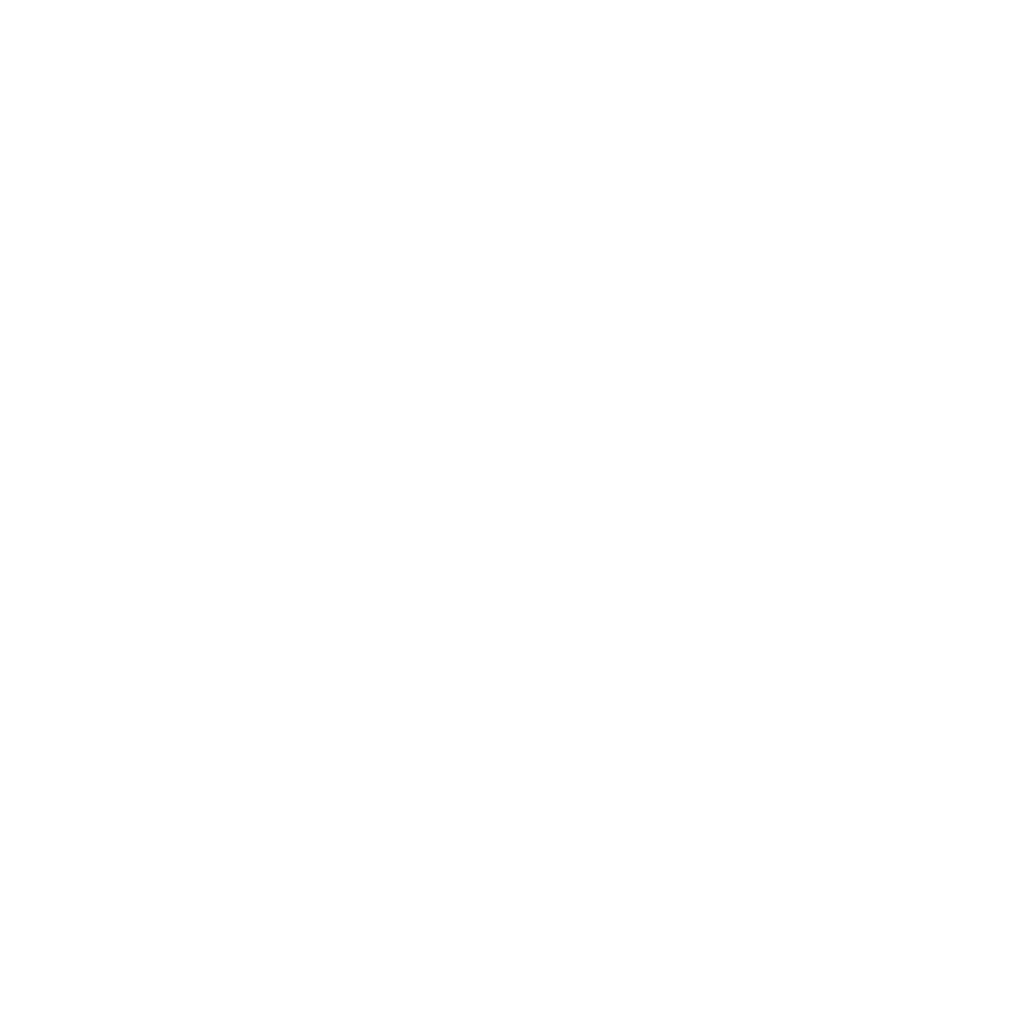 Tik Tok Icon