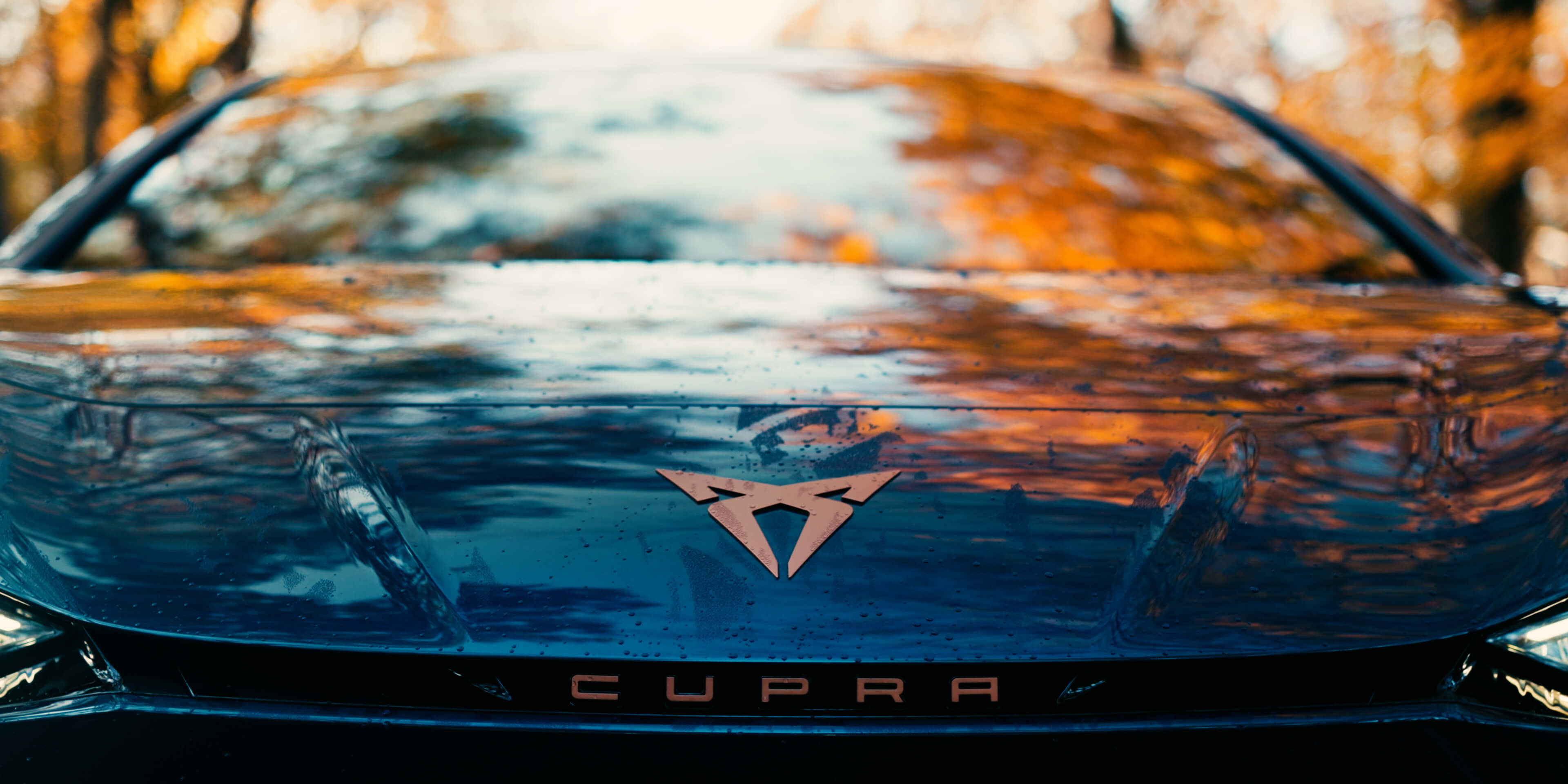 Port in Jordan through which all goods and food products from Today Food Group enter Europe – captured at sunset with shipping containers and cranes.