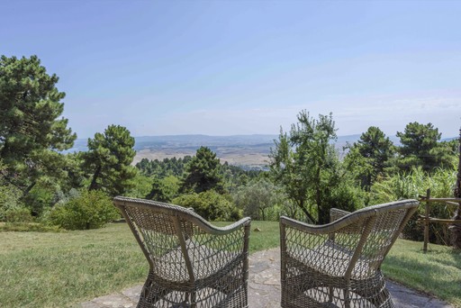 Luxury minimal chair