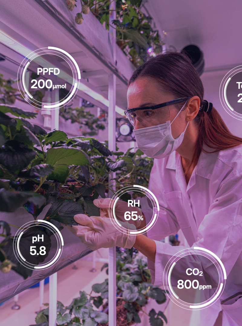 A woman working in a vertical farm with overlays representing important measures such as pH, CO2 and temperature