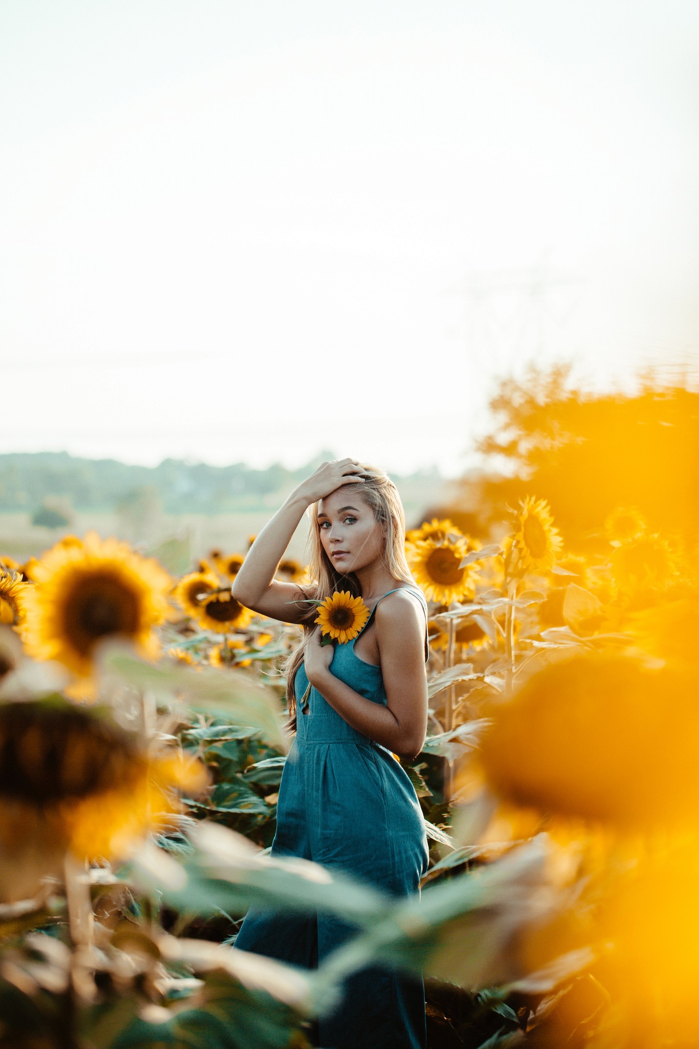 A girl holding a sunflower in a sunflower field on a bright day