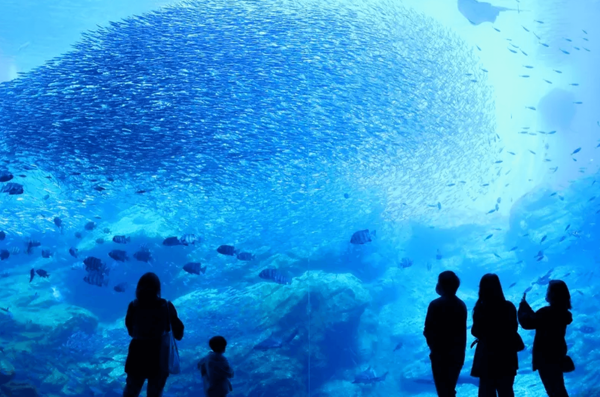 Five people in front of a large aquarium tank