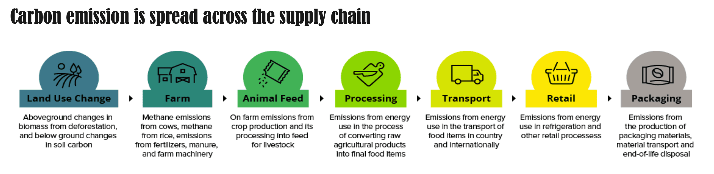 Project Content Image - 2