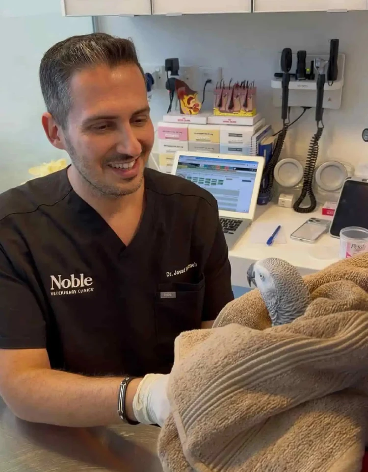 A veterinarian is caring for a bird that's wrapped in a towel.