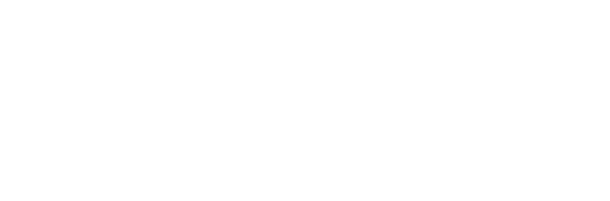 BIMS Institude