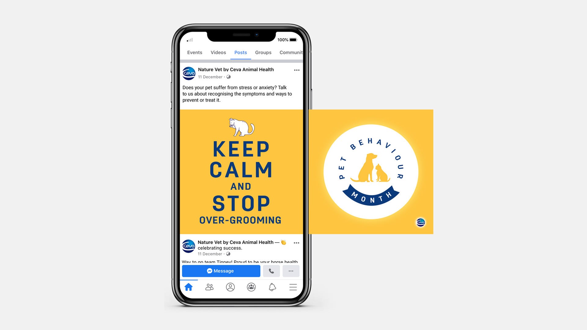 Homescreen with open bottom drawer
