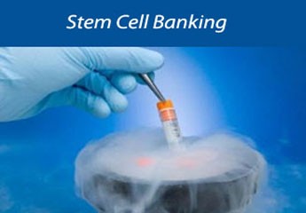 Stem Cell Banking: Facts, Misconceptions & Realities