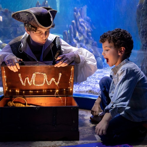 Tiket Masuk SEA LIFE Benalmádena di Benalmadena