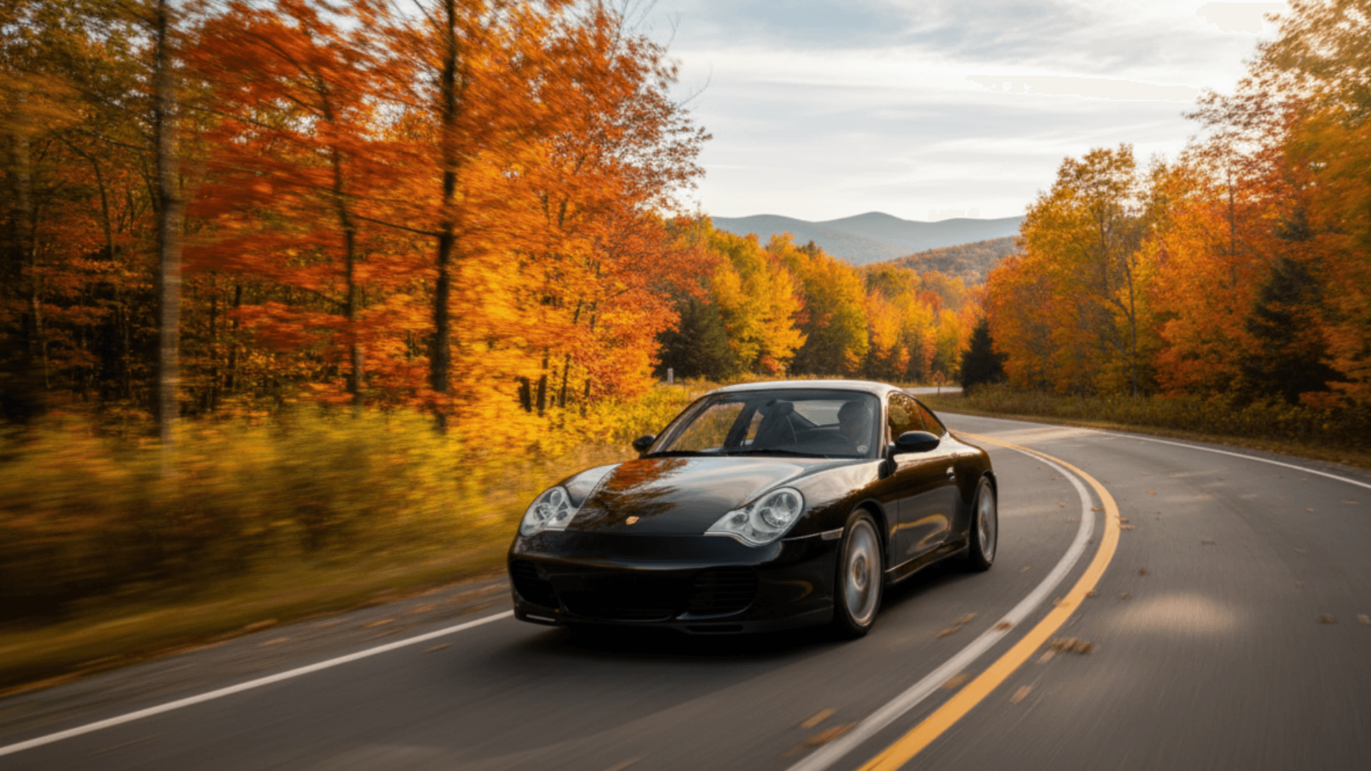 Porsche 996 Carrera IMS bearings