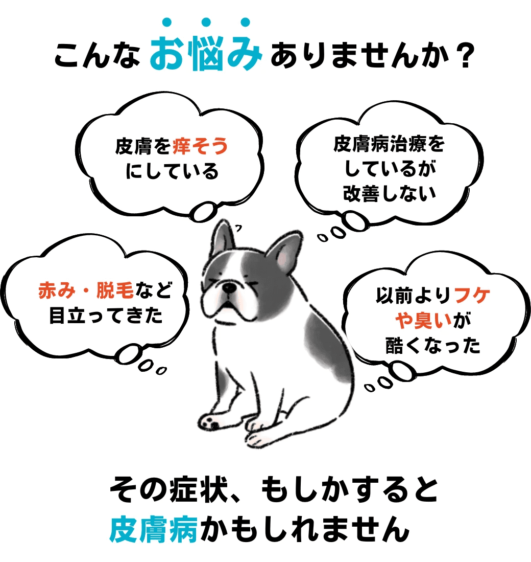こんなお悩みありませんか?犬のイラストと吹き出しで「皮膚を痒そうにしている」「皮膚病治療をしているが改善しない」「赤み・脱毛など目立ってきた」「以前よりフケや臭いが酷くなった」という具体的な症状を並べ、『その症状、もしかすると皮膚病かもしれません』と呼びかけるビジュアル