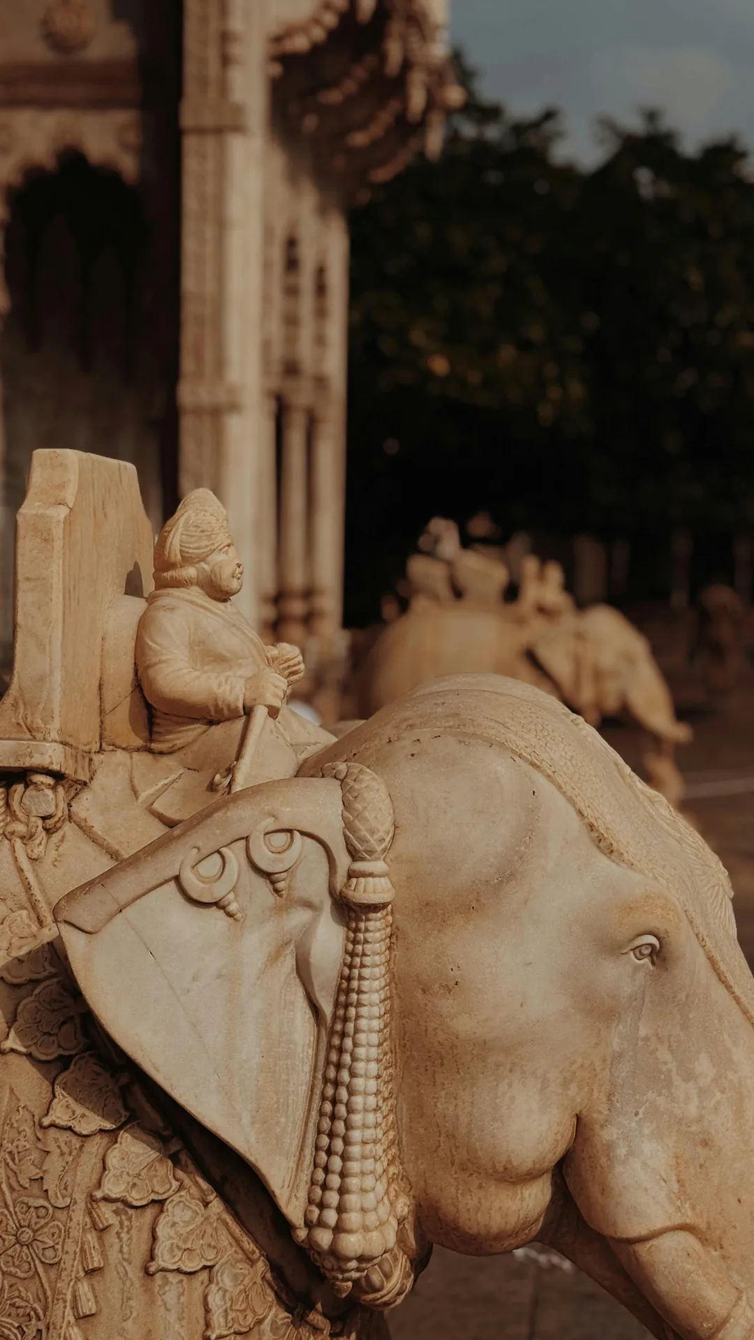 red train travelling near body of water