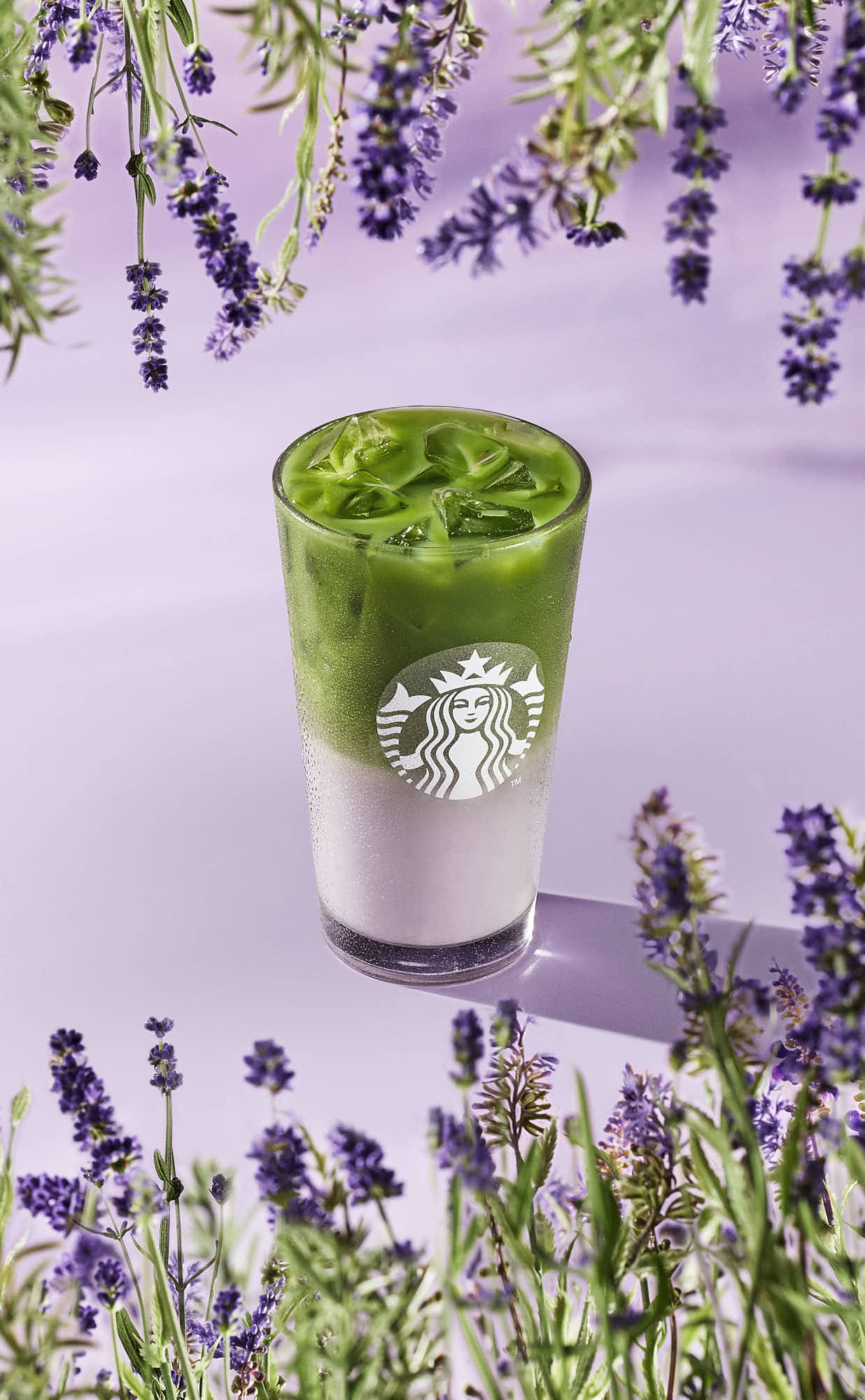 A green and purple drink in a glass sits among lavender flowers on a light surface, creating a refreshing and serene scene.