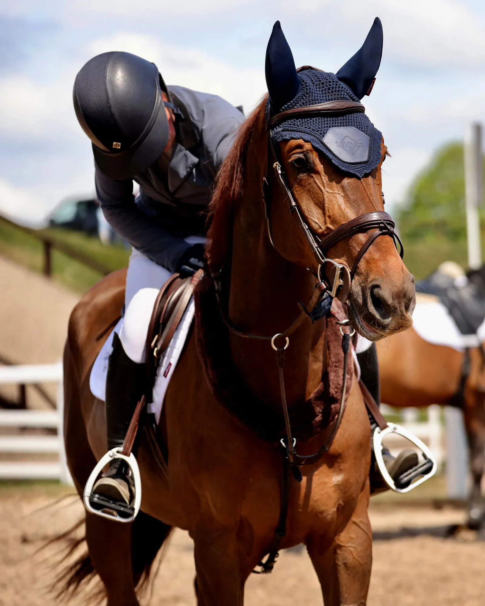 Rider on horse stroking the neck