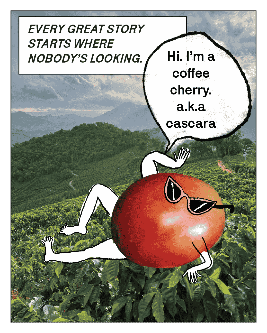 Comic panel showing a coffee cherry character in sunglasses introducing itself as “cascara” in a lush coffee field — tagline “Every great story starts where nobody’s looking.”