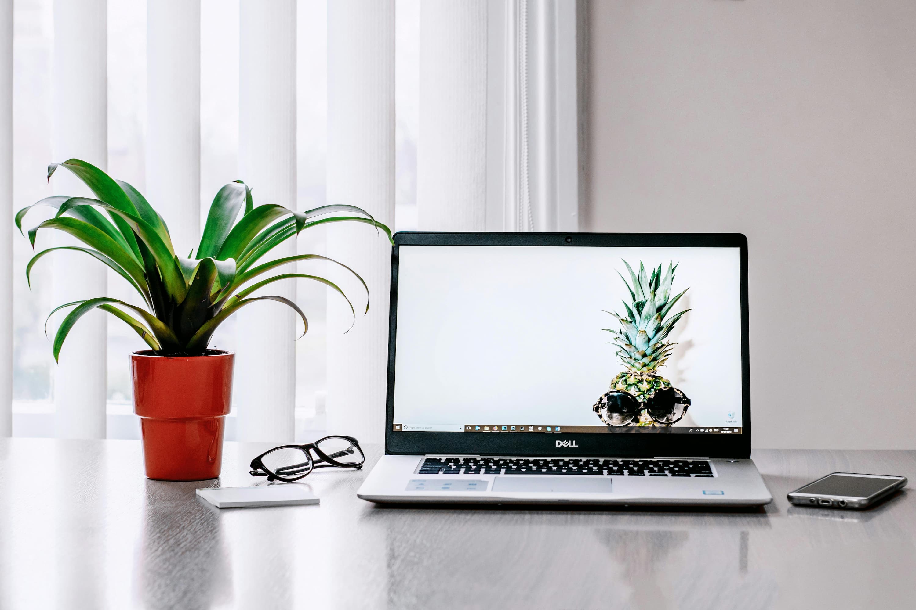 A plant. next to laptop