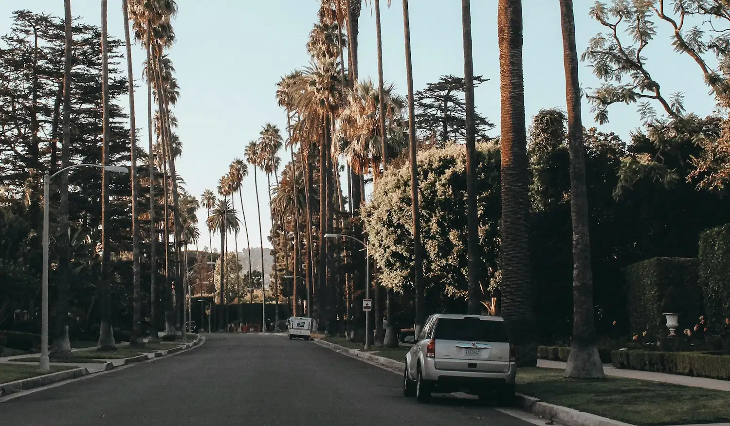 Peaceful palm-lined street symbolizing calm, balance, and positive reviews for depression therapy and mental health services in New York City.