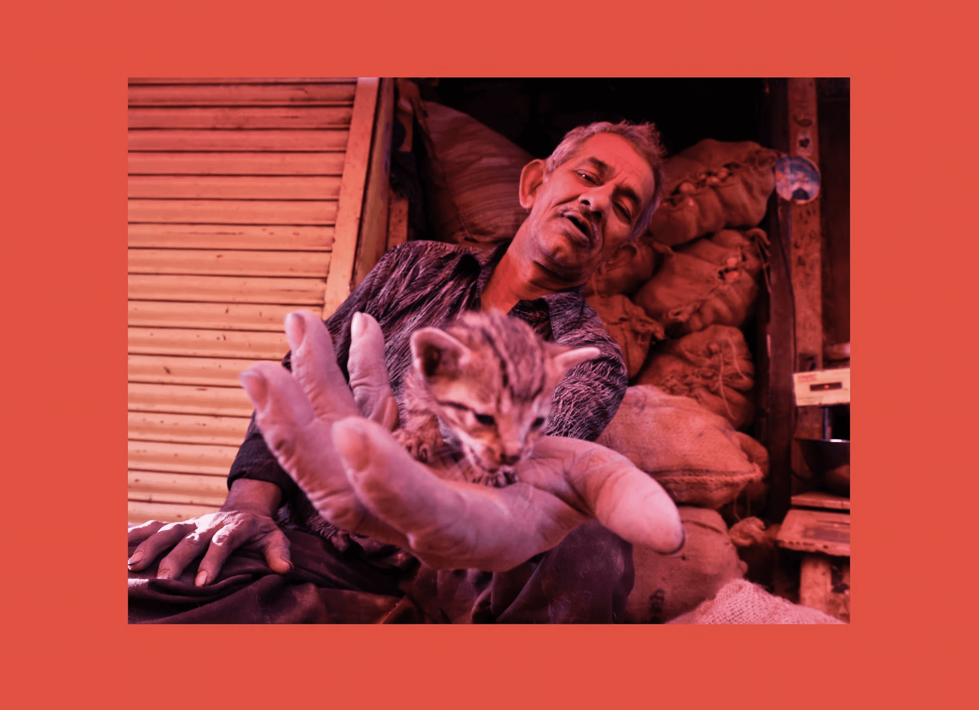 A person stands outdoors in a natural setting with lush green trees under a clear sky, wearing a dark sweatshirt, and looking into the distance.