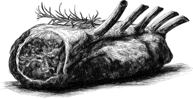 Engraved drawing for the Lamb / Goat category