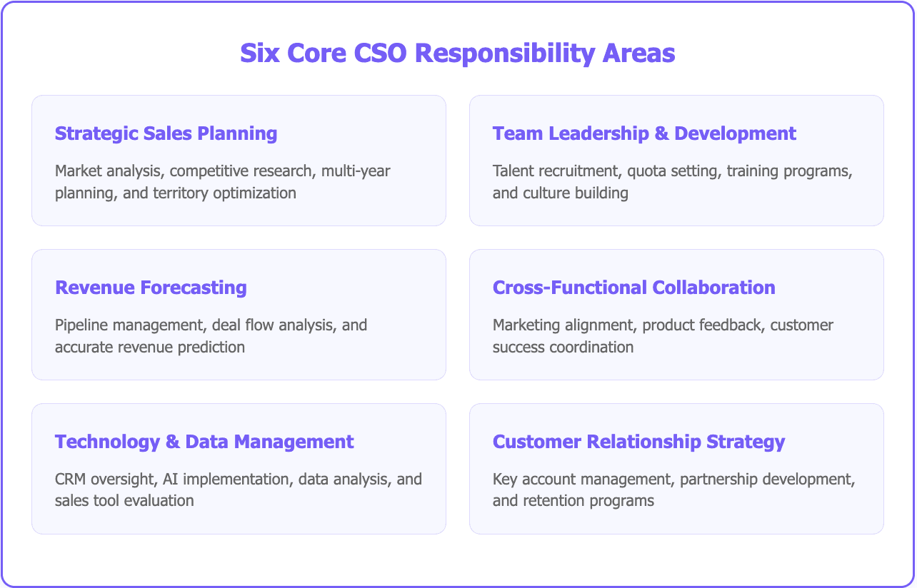 CSO responsibilities