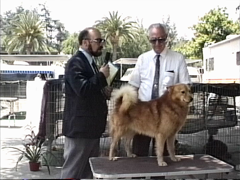 Sincerely, Ric still - Ric Interviewing dog handler