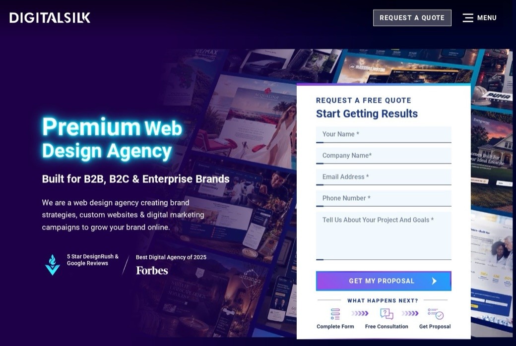 Digital Silk homepage and website design work