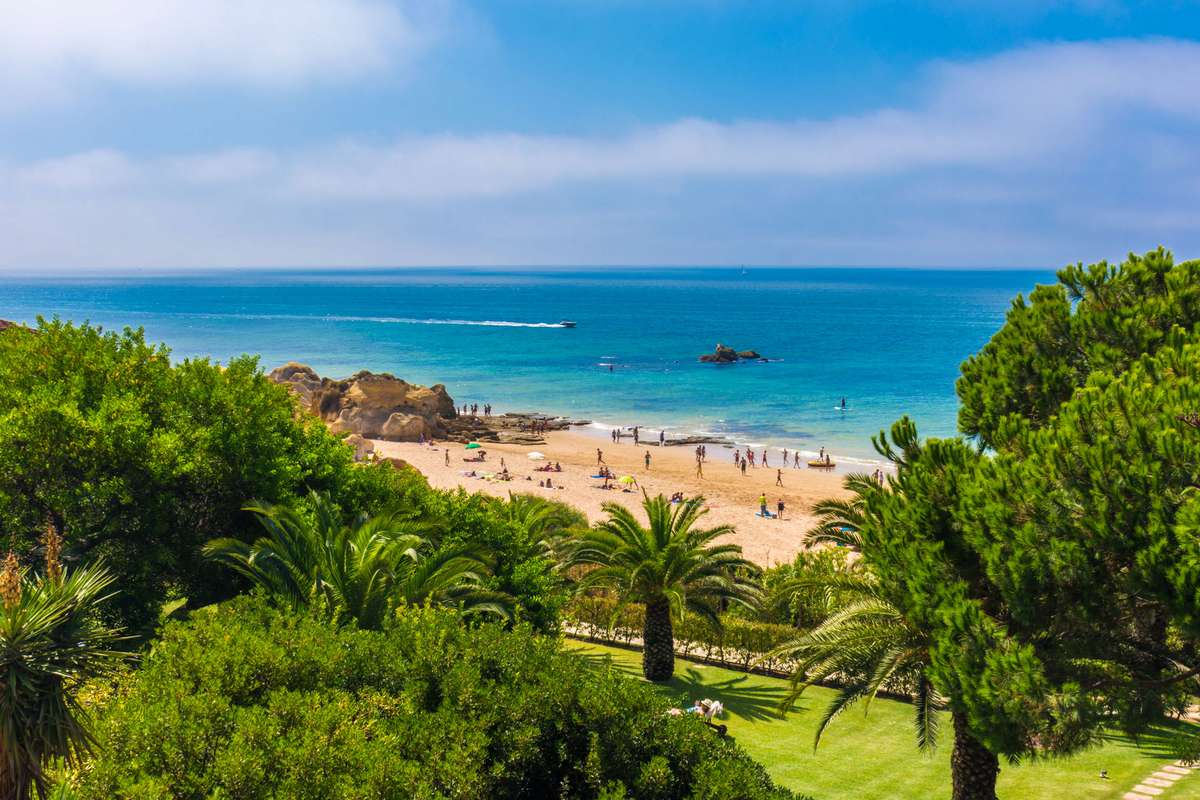 A beach with turquoise water and golden sand is framed by green palm trees and pine trees under a blue sky.