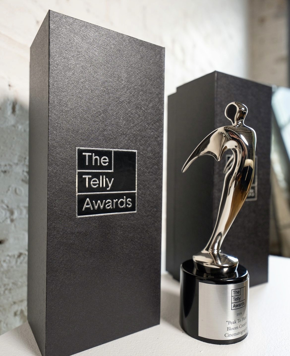 telly awards photo