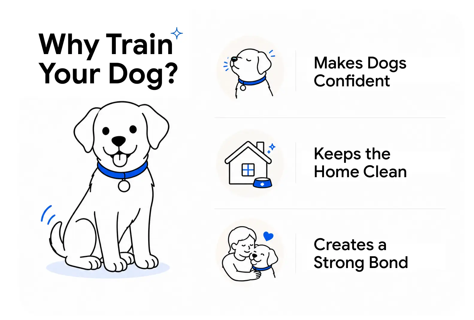 An infographic showing a person playing frisbee with a white dog and highlighting the benefits of house training a dog.