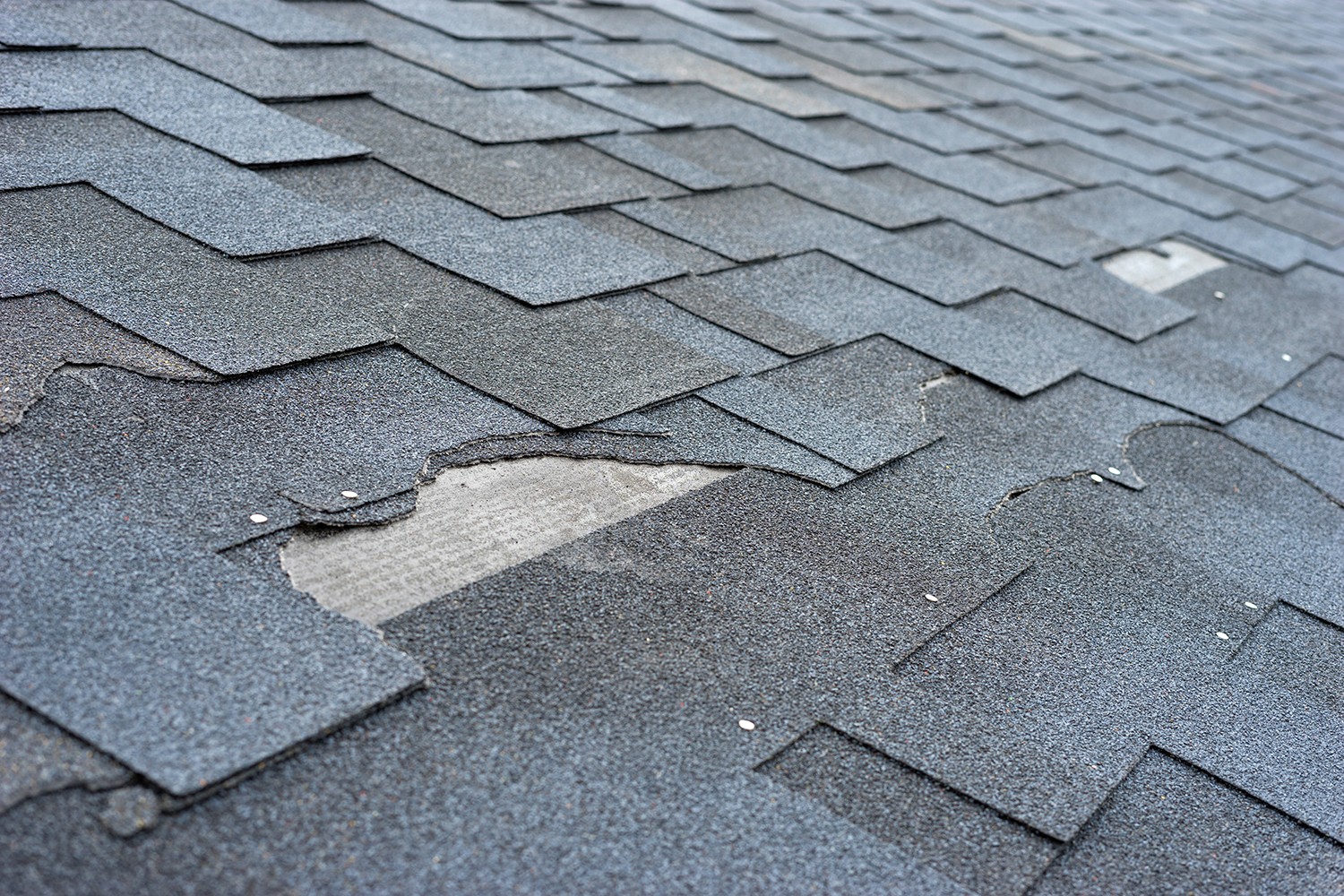 Close up view of asphalt shingles roof damage that needs repair.