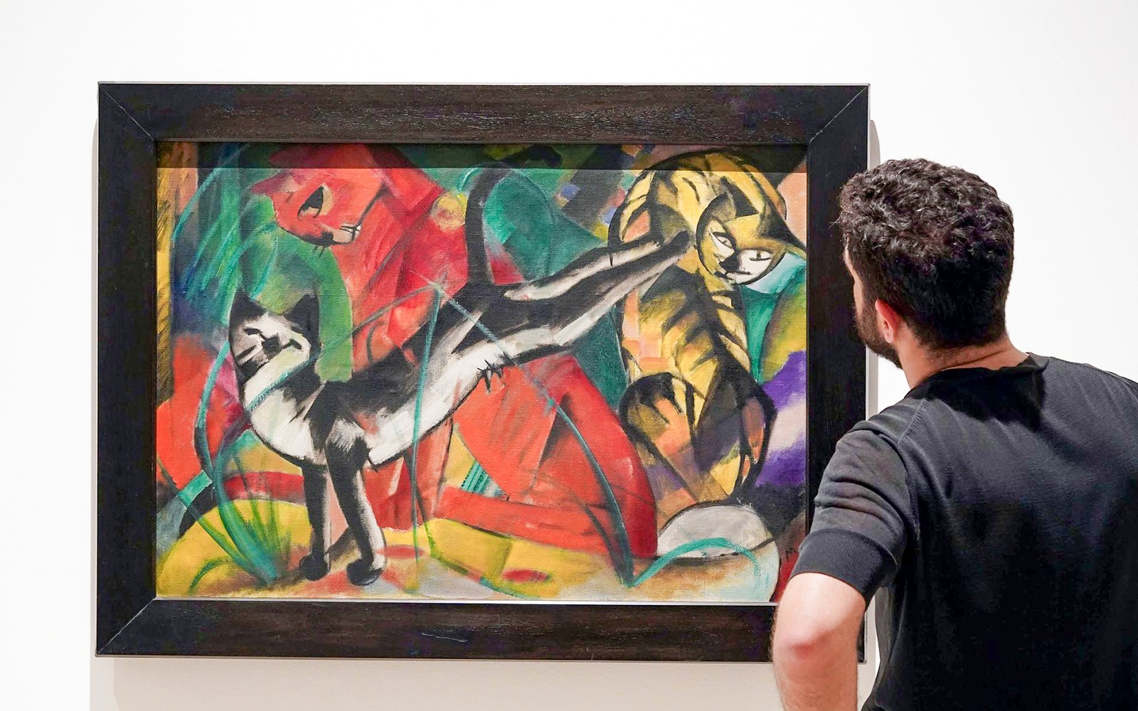 Visitor admiring a colorful painting of cats at Picasso Museum, Malaga.