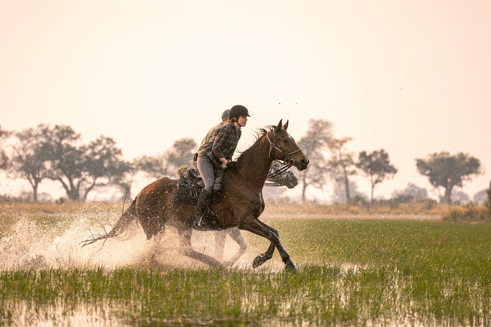 Kujwana Delta Ride. En grupp ryttare till häst på ridsafari galopperar genom vatten i Okavango Deltat på en oförglömlig ridsemester i Botswana, Afrika.