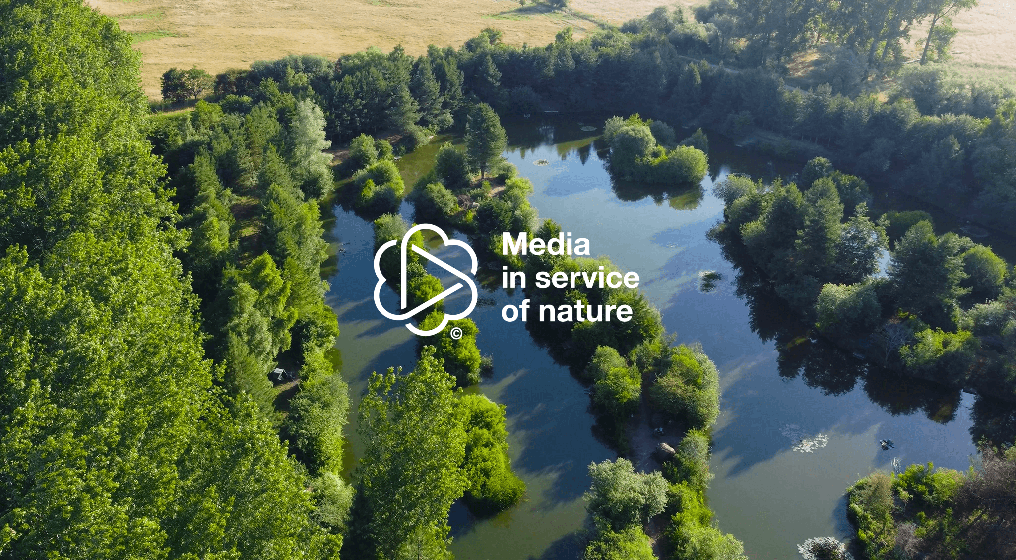 An image of a lake and trees