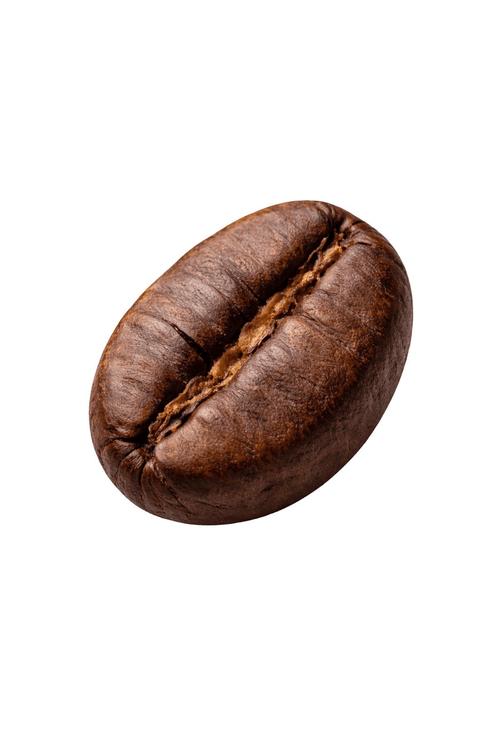 Coffee bean