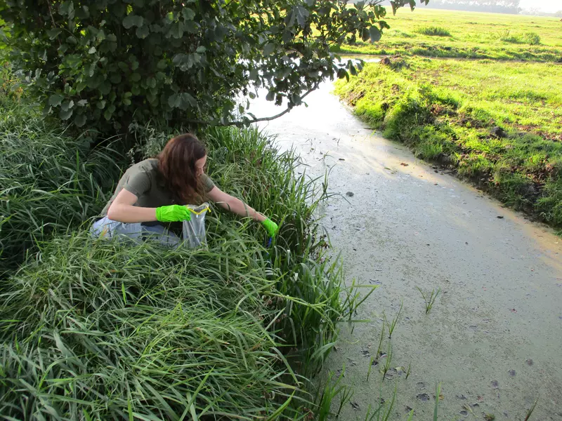 Werken bij Blom Ecologie