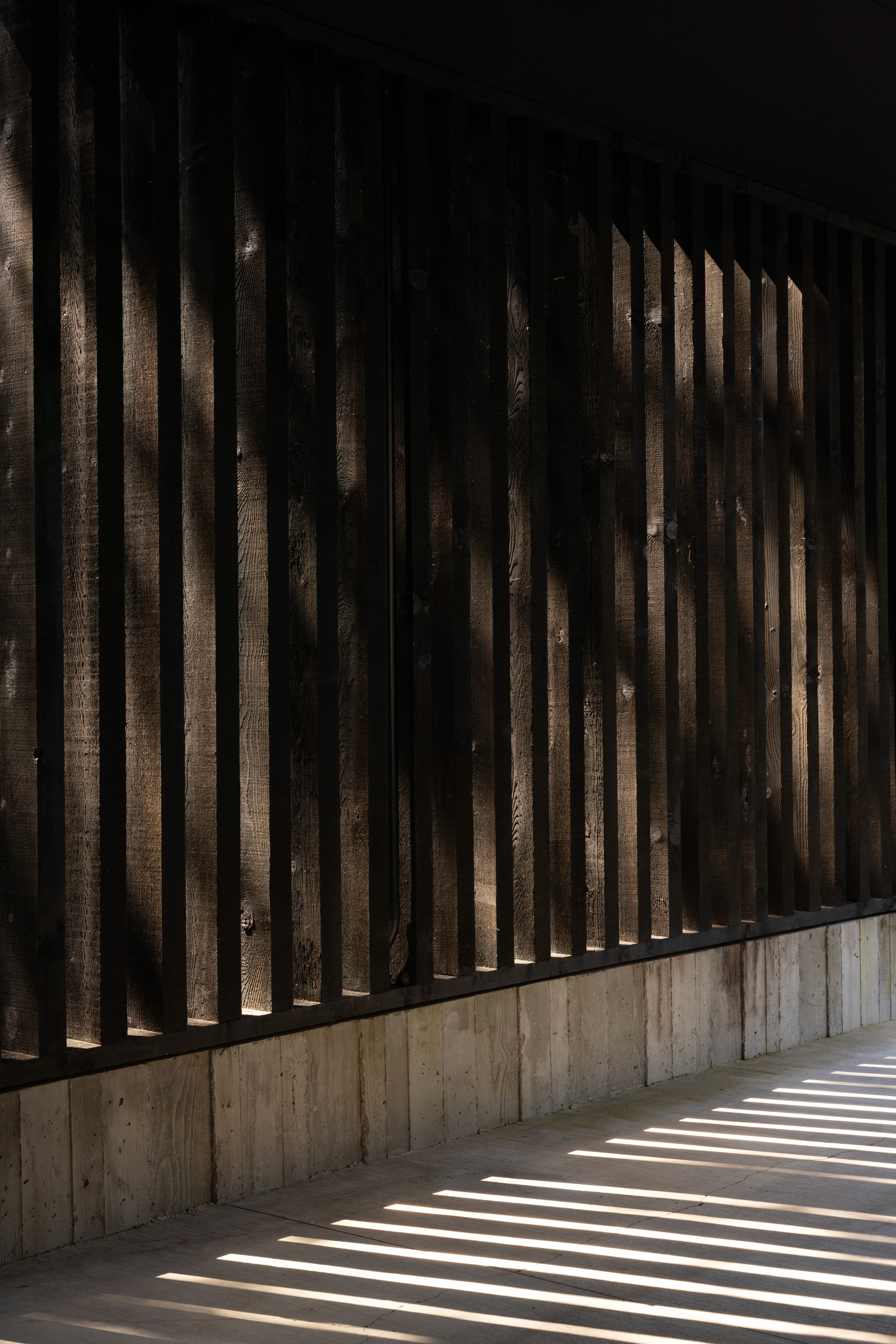 partition wall | homeowner hq