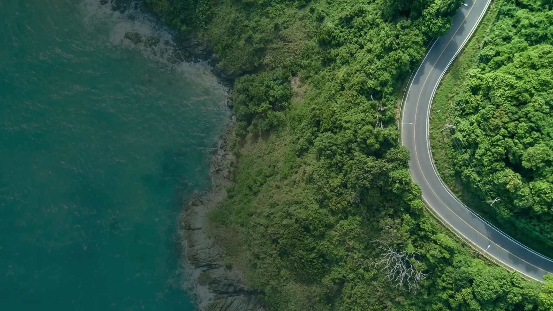 bird's eye photography of road near near body of water