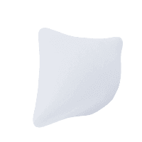 Enterprise plan icon