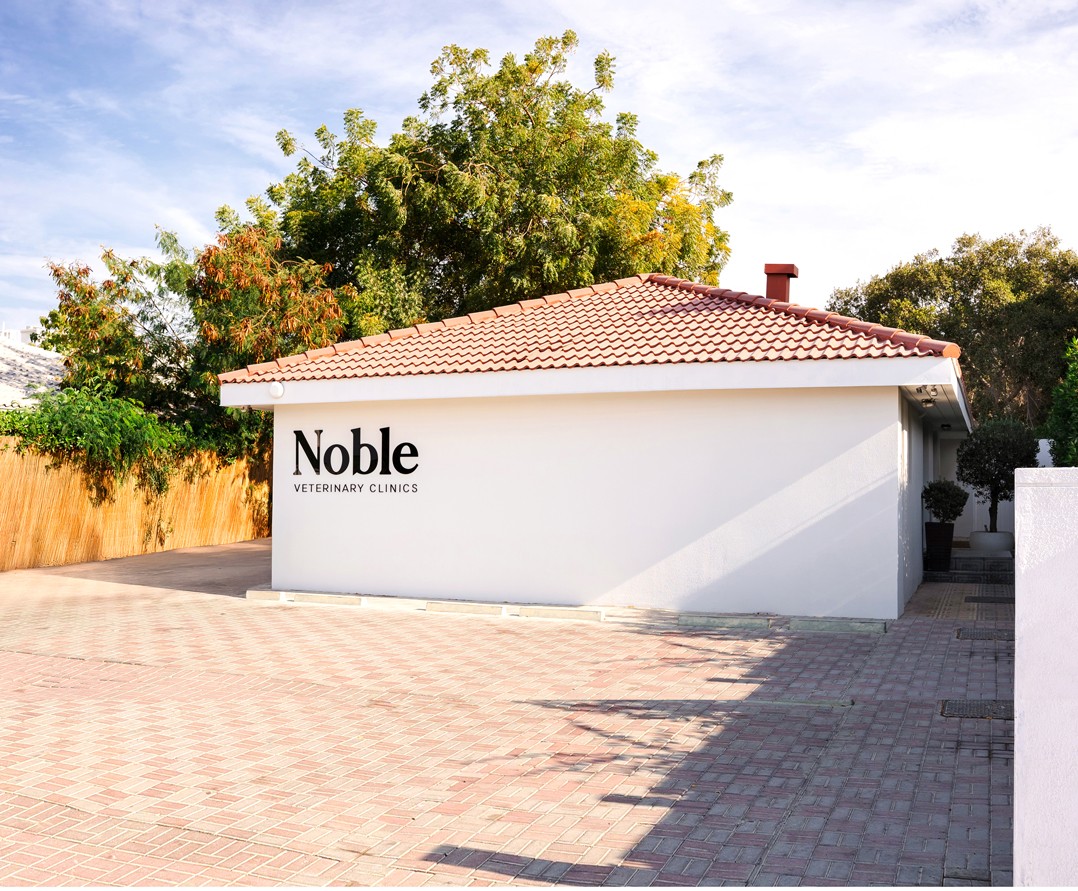 The exterior of our Noble Vet JLT clinic at Jumeirah Lake Towers, Dubai