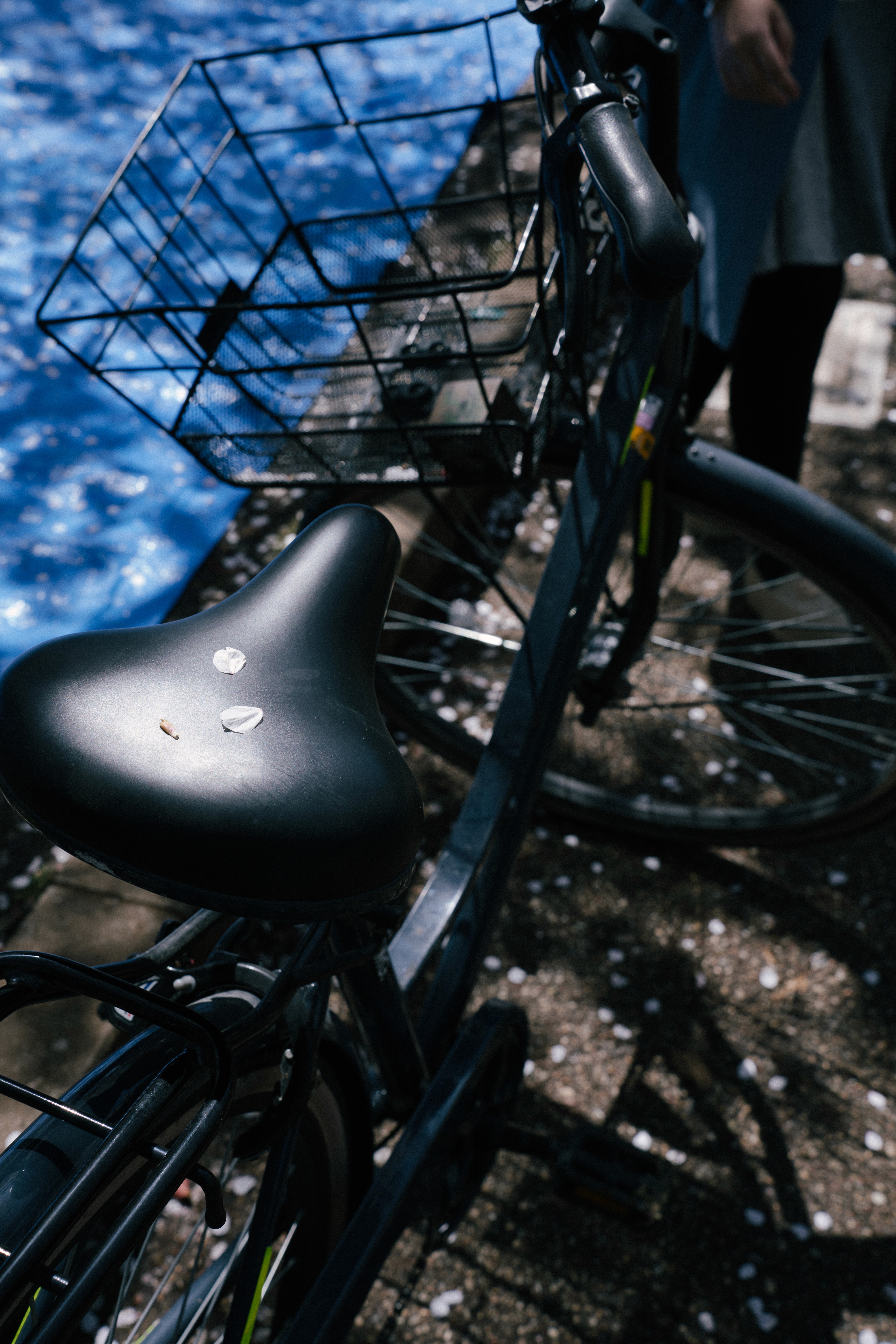 cherry blossom left a petal on a bicycle 