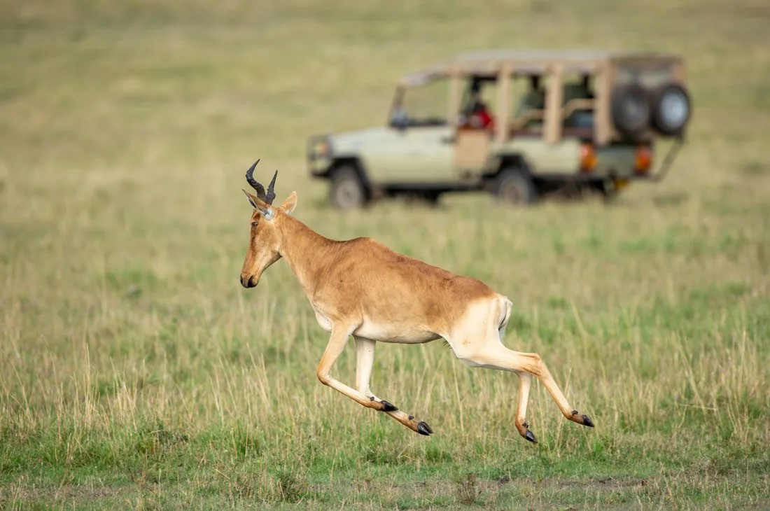 Stack at Lilita Keper in the Maasai Mara.