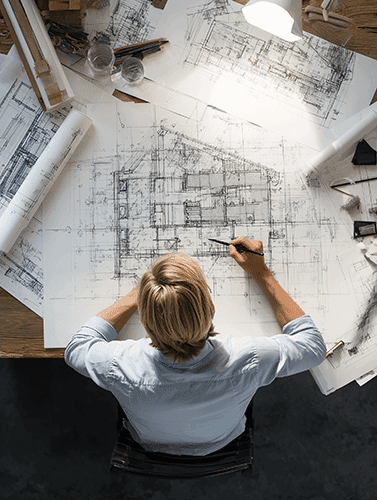 pink flowers in front of white house