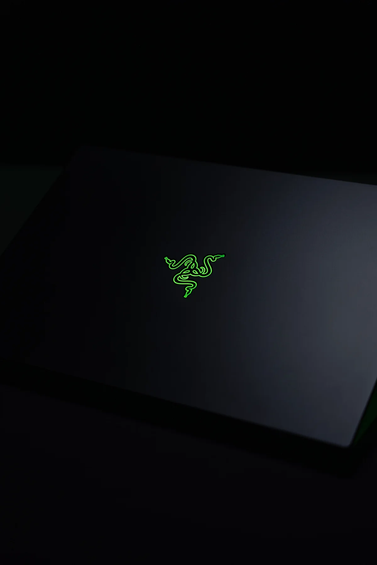 Razer · project photo 2
