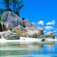 Tropical Beach