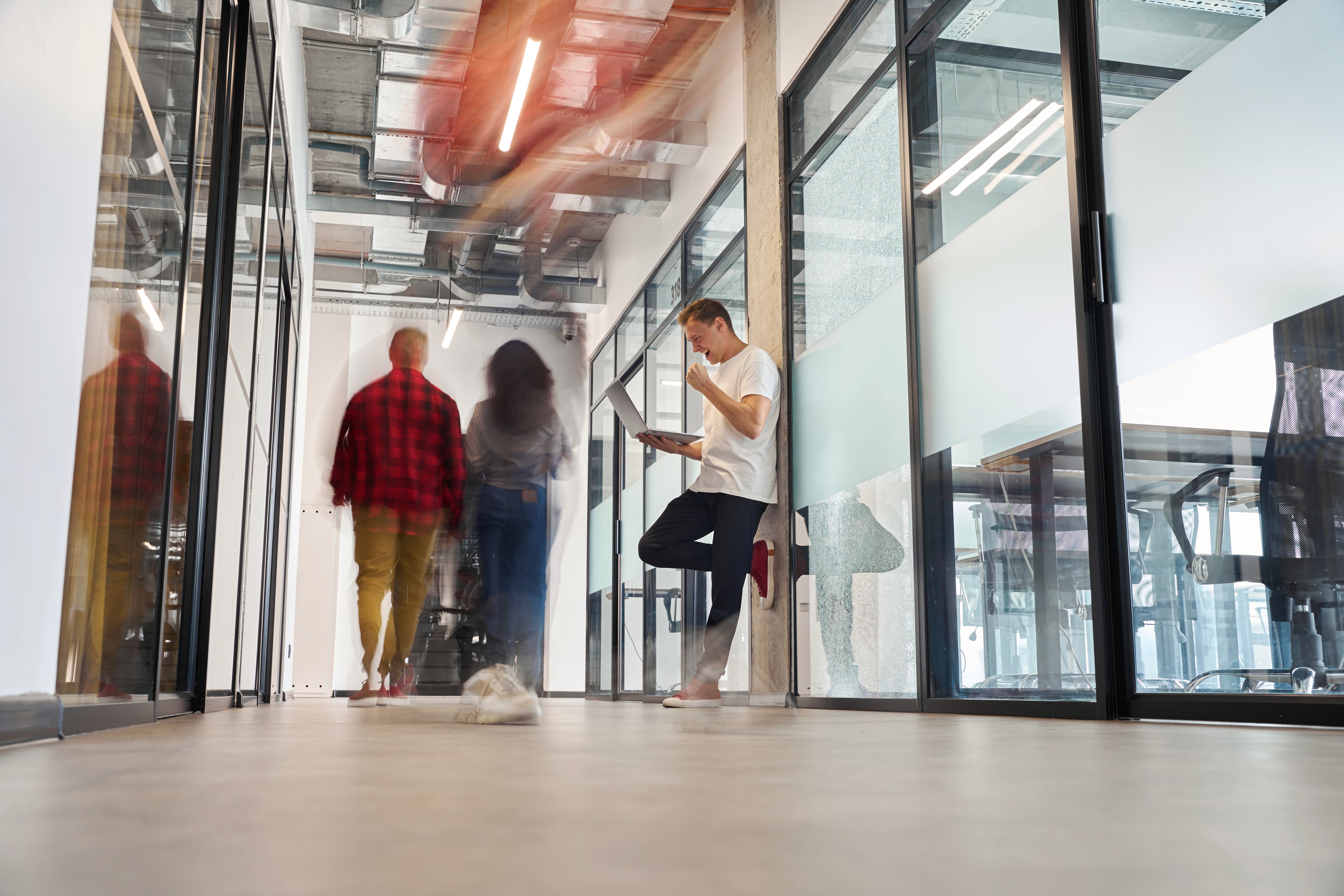 The image featured in the middle of the about us page