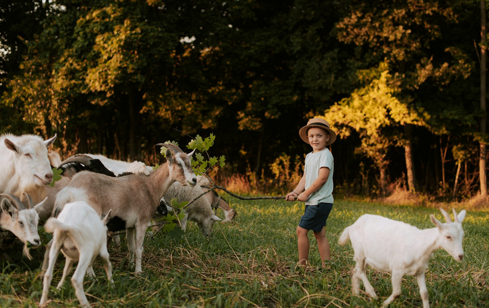 Kind erlebt Tiere in der Natur