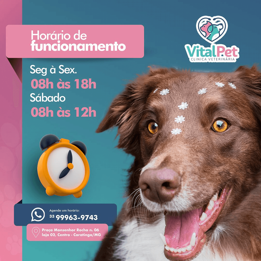 Vital Pet Clínica Veterinária - Horário de funcionamento para atendimentos veterinários: segunda a sexta das 08h às 18h, sábado das 08h às 12h. Entre em contato e agende uma consulta para seu pet.