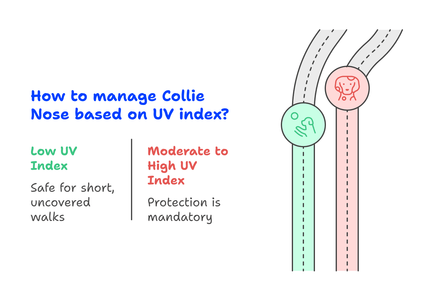 How to manage Collie nose based on UV index?