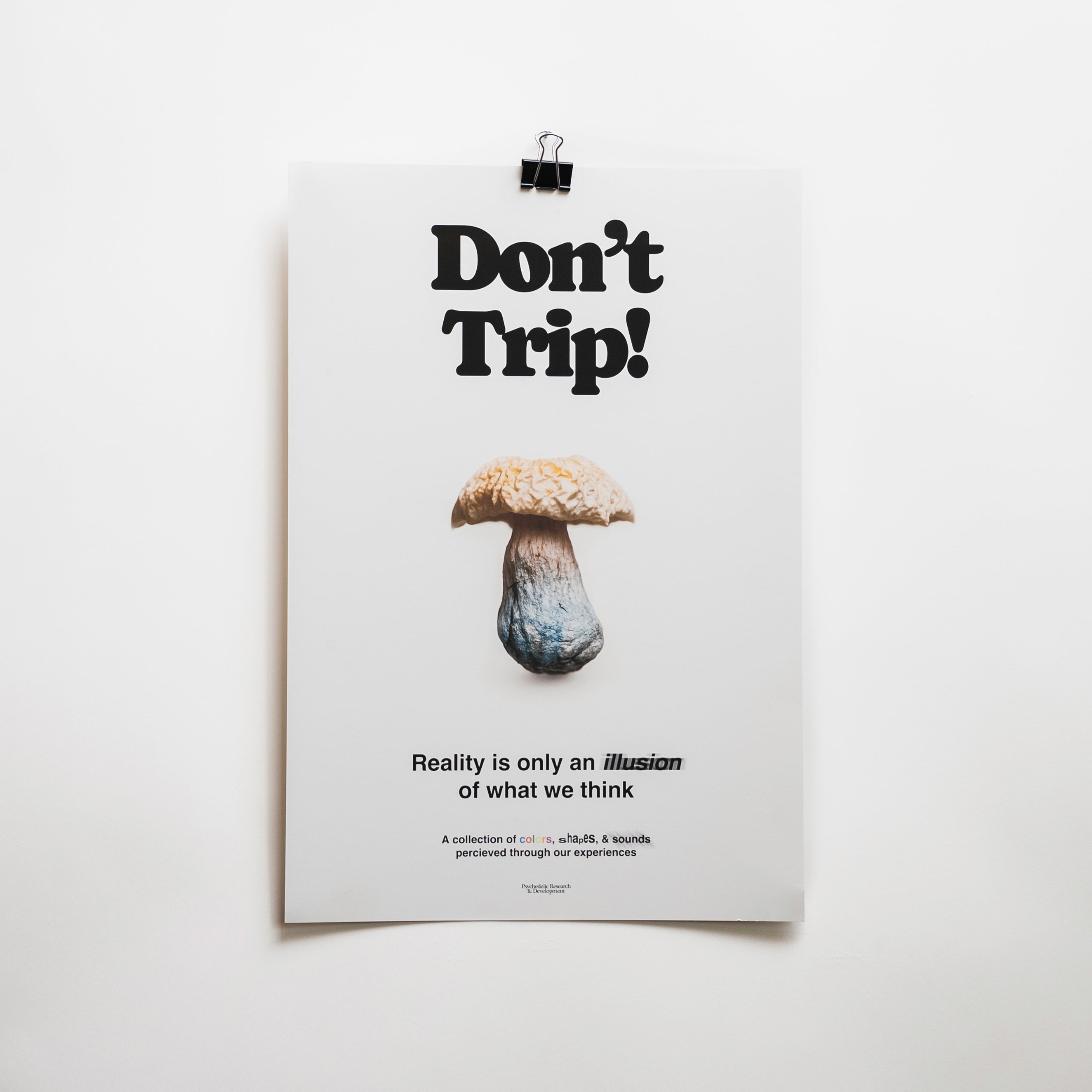 8" x 12" / No Frame / No Mat