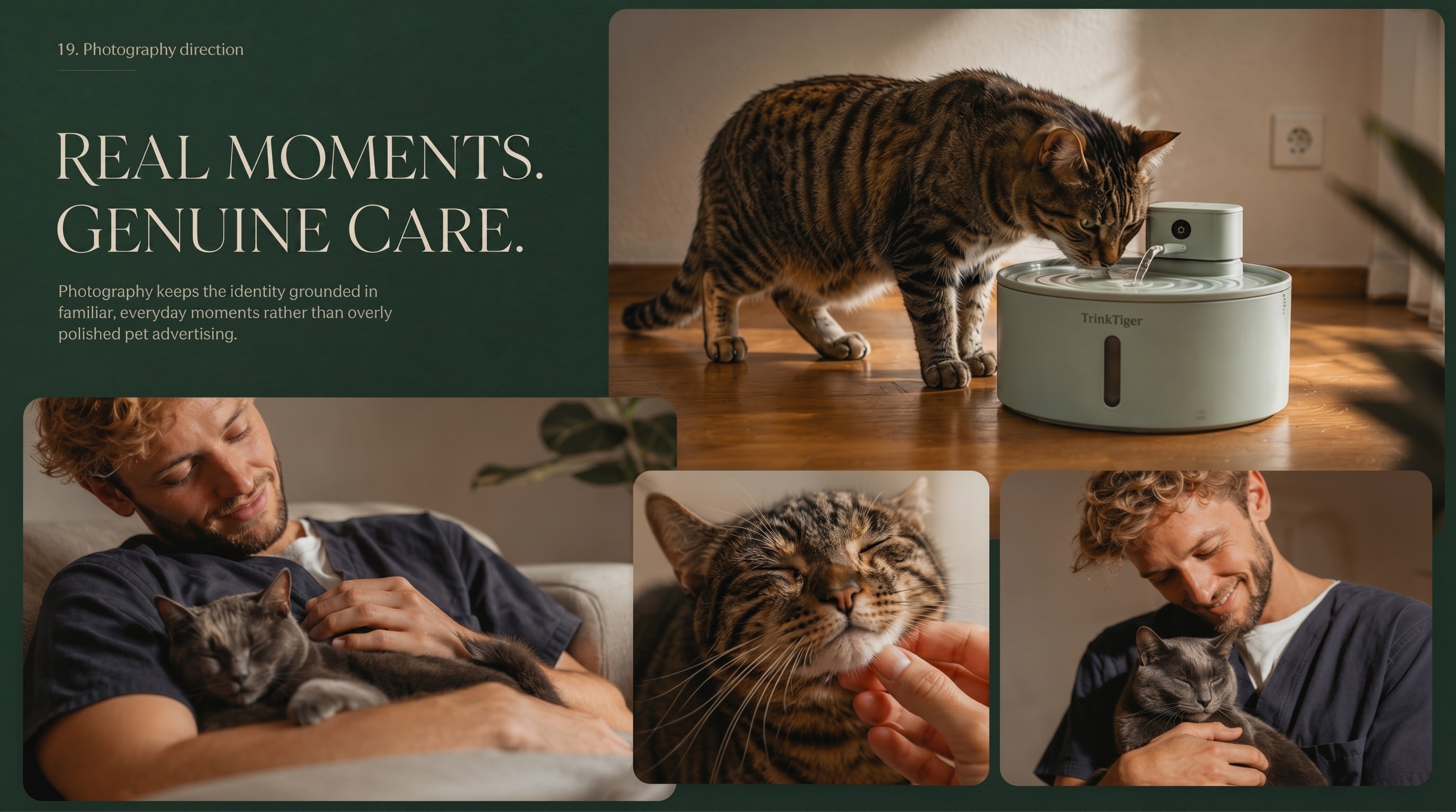 Lifestyle photography direction for cat wellness brand